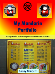 Picture of My Mandarin Portfolio 